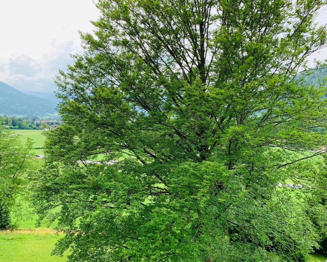 Apartmán Buchenblick Strobl Exteriér fotografie
